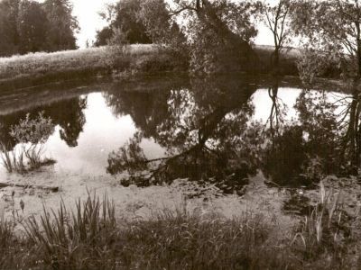 Скитский "чистый" пруд