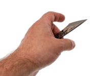 Нож N.C.Custom киридаши Змея сталь AUS-8