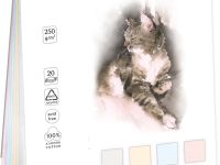Планшет для акварели Лилия Холдинг "Акварельный котик" МИКС 38х55 см, 4 цвета 20 л, 250 г,100% хл