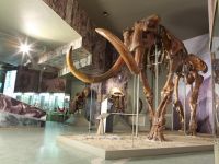 Азовский историко-археологический и палеонтологический музей-заповедник