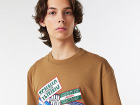 Мужская футболка Lacoste для спорта