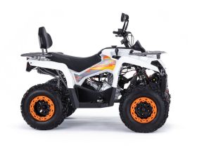 Квадроцикл MOTAX ATV Grizlik 200 Ultra