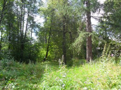 Парк с прудами