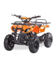 Квадроцикл MOTAX ATV Mini Grizlik X-16 (э/с) Big Wheel