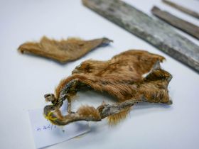 Подведены итоги морской арктической экспедиции в заповедник «Медвежьи острова»