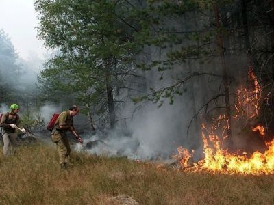 На тушении пожара у села Сайылык работают свыше 80 человек