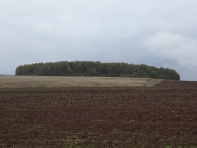 Священная роща