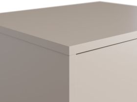 Распашной шкаф Торвалль 1.2-50x185 Латте