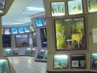 Музей «Археология, этнография и экология Сибири» Кемеровского университета