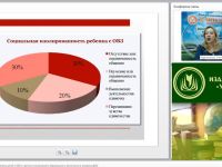 Международный вебинар "Организация взаимодействия детей с ОВЗ в группах инклюзивного образования и воспитания в условиях ДОО"