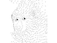 Книга "Животные. Рисуем по точкам"