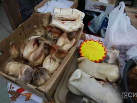 Мясо, рыба, овощи, ягоды и хлеб: в Якутске открылась ярмарка местных производителей «Продовольствие-2026»