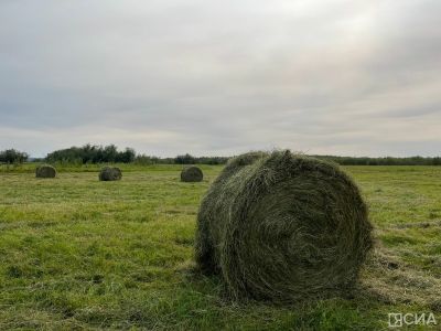 В Якутии для помощи пострадавшим от паводка районам работают мобильные бригады