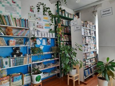 Челнинская сельская библиотека