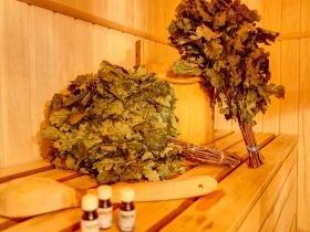 Программа "Сибирское SPA"