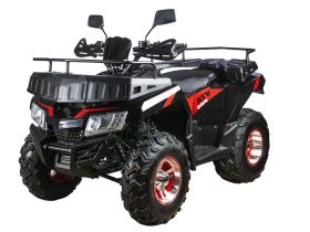 Квадроцикл RATO 200 LD LUXE