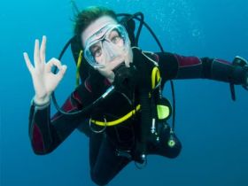 Урок дайвинга