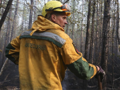 31 июля: огнеборцы справились с лесными пожарами