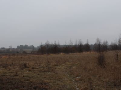 Родина советского художника, лауреата государственной премии СССР Ф.С.Шурпина