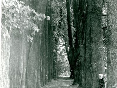 Усадьба «Марьинское», парк