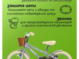 Детский велосипед Pifagor Shine 16, год 2023, цвет Фиолетовый