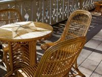 Музей-усадьба Л. Н. Толстого «Ясная Поляна»