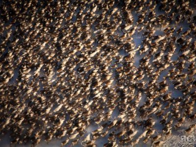 Росстат объявил конкурс "Сделай фото родных просторов"