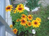 Библиотека-филиал с. Черниговка