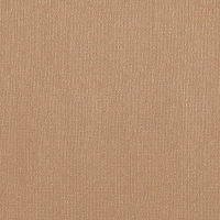 Бумага для пастели "Палаццо" 70x100 см 160 г бежевый