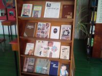 Библиотека села Нижний Стан