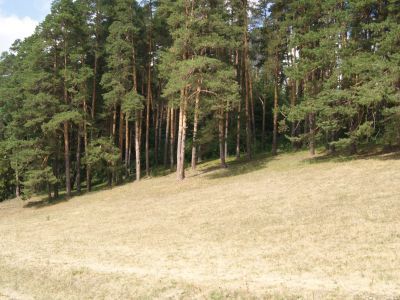 Памятное место "Савальская гора", где проходили нелегальные собрания и сходки политических ссыльных