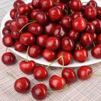 Черешня Лика (подвой вишня Магалебская) (в сетке)