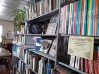 Ношинская сельская библиотека – филиал № 19