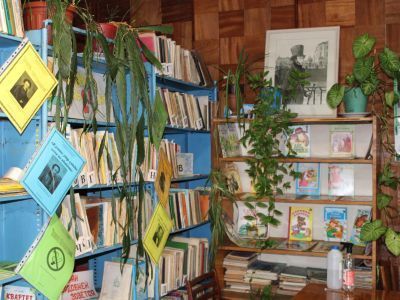 Болтинская сельская библиотека