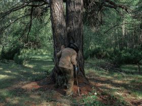 Якутский фотограф Вячеслав Лю-Фа вошёл в шорт-лист международного фотоконкурса в Тбилиси
