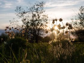 По реке Лена. Техтюр - Якутск (202 мкр.)
