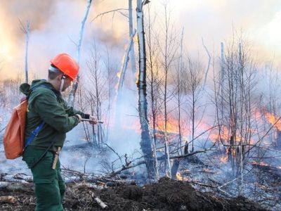 В Якутии дефицит осадков и грозы могут спровоцировать новые лесные пожары