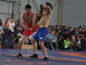 Верхневилюйский улус вновь победил на Играх Манчаары по хапсагаю