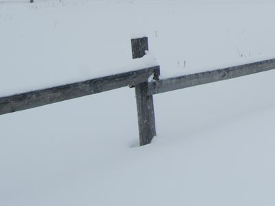 Здание бани