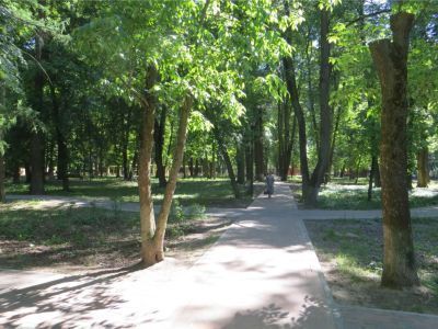 Усадьба "Троицкое": - парк