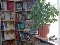 Новополянская поселенческая библиотека