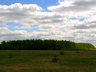 Священная роща