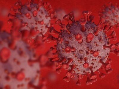 В России выявили новый подвид "омикрона"