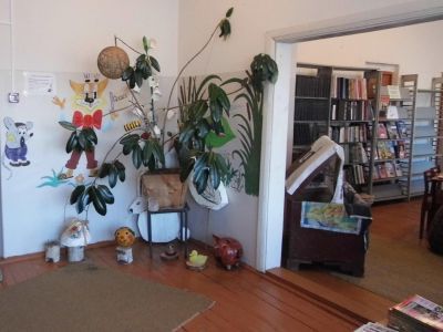 Маньковская сельская библиотека