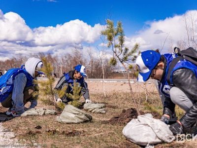Акция "Сад Памяти". В Якутске в парке Победы высадили 2000 саженцев