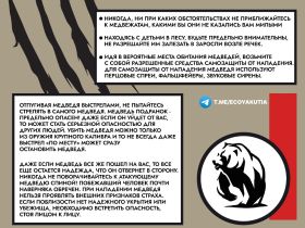 В Якутии выдали разрешения на добычу более 500 бурых медведей