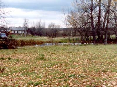 Усадебный парк