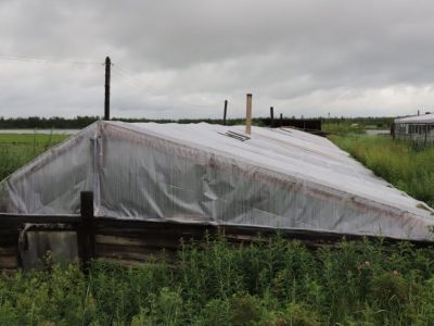 В подземной теплице фермерша из Сунтара выращивает огурцы