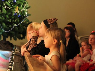 Билеты на Новогодняя ёлка в усадьбе (Музей-усадьба Державина) / Событие | Афиша | ИнфоТаймс