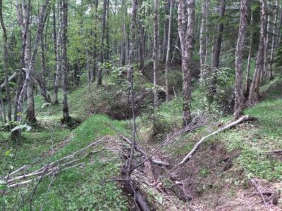 Береговая батарея 8-орудийная Владимирская